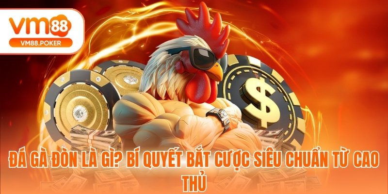 Đá Gà Đòn Là Gì? Bí Quyết Bắt Cược Siêu Chuẩn Từ Cao Thủ