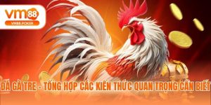 Đá Gà Tre - Tổng Hợp Các Kiến Thức Quan Trọng Cần Biết