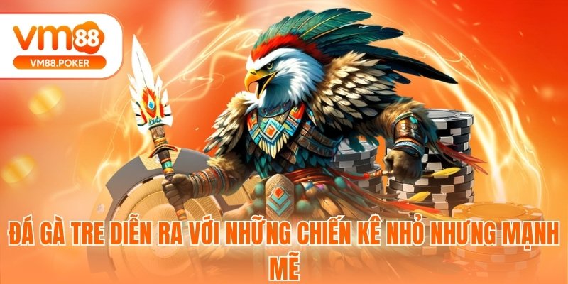 Đá gà tre diễn ra với những chiến kê nhỏ nhưng mạnh mẽ