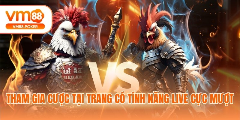 Tham gia cược tại trang có tính năng live cực mượt