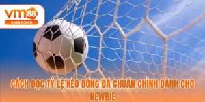 Cách Đọc Tỷ Lệ Kèo Bóng Đá Chuẩn Chỉnh Dành Cho Newbie