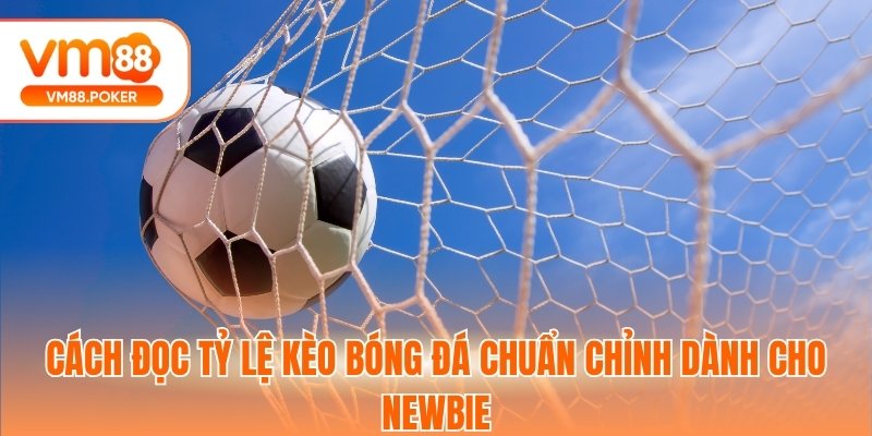 Cách Đọc Tỷ Lệ Kèo Bóng Đá Chuẩn Chỉnh Dành Cho Newbie